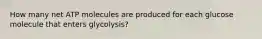 How many net ATP molecules are produced for each glucose molecule that enters glycolysis?