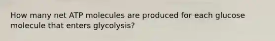 How many net ATP molecules are produced for each glucose molecule that enters glycolysis?