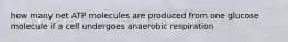 how many net ATP molecules are produced from one glucose molecule if a cell undergoes anaerobic respiration