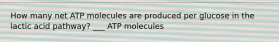 How many net ATP molecules are produced per glucose in the lactic acid pathway? ___ ATP molecules