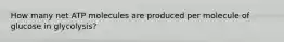 How many net ATP molecules are produced per molecule of glucose in glycolysis?