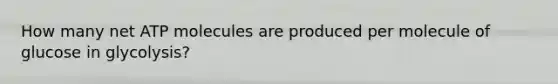 How many net ATP molecules are produced per molecule of glucose in glycolysis?