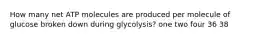 How many net ATP molecules are produced per molecule of glucose broken down during glycolysis? ​one ​two ​four ​36 ​38