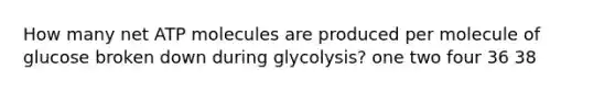 How many net ATP molecules are produced per molecule of glucose broken down during glycolysis? ​one ​two ​four ​36 ​38