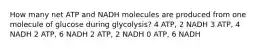 How many net ATP and NADH molecules are produced from one molecule of glucose during glycolysis? 4 ATP, 2 NADH 3 ATP, 4 NADH 2 ATP, 6 NADH 2 ATP, 2 NADH 0 ATP, 6 NADH