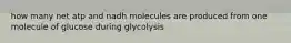 how many net atp and nadh molecules are produced from one molecule of glucose during glycolysis