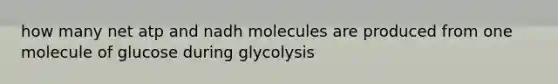 how many net atp and nadh molecules are produced from one molecule of glucose during glycolysis