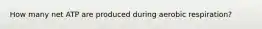 How many net ATP are produced during aerobic respiration?