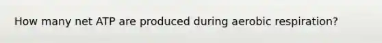 How many net ATP are produced during aerobic respiration?