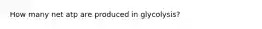 How many net atp are produced in glycolysis?