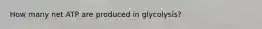 How many net ATP are produced in glycolysis?