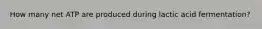 How many net ATP are produced during lactic acid fermentation?