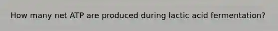 How many net ATP are produced during lactic acid fermentation?