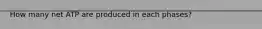 How many net ATP are produced in each phases?