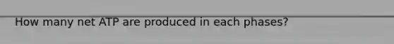 How many net ATP are produced in each phases?