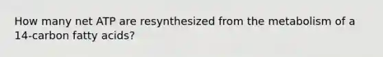 How many net ATP are resynthesized from the metabolism of a 14-carbon fatty acids?