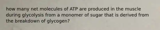 how many net molecules of ATP are produced in the muscle during glycolysis from a monomer of sugar that is derived from the breakdown of glycogen?