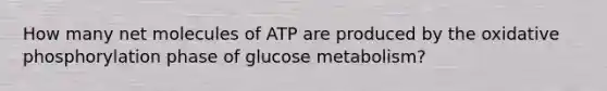 How many net molecules of ATP are produced by the oxidative phosphorylation phase of glucose metabolism?