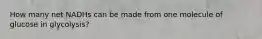 How many net NADHs can be made from one molecule of glucose in glycolysis?