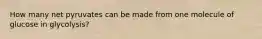 How many net pyruvates can be made from one molecule of glucose in glycolysis?