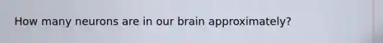 How many neurons are in our brain approximately?