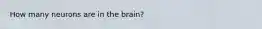 How many neurons are in the brain?