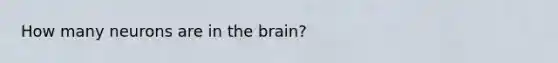 How many neurons are in the brain?