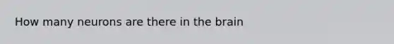 How many neurons are there in the brain