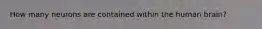 How many neurons are contained within the human brain?