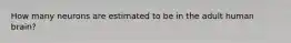How many neurons are estimated to be in the adult human brain?