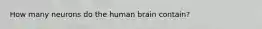 How many neurons do the human brain contain?