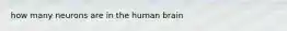 how many neurons are in the human brain