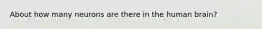 About how many neurons are there in the human brain?