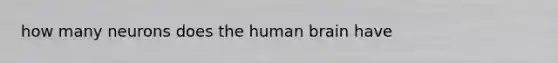 how many neurons does the human brain have