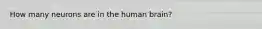 How many neurons are in the human brain?