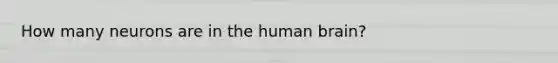 How many neurons are in the human brain?