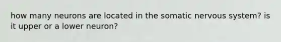 how many neurons are located in the somatic <a href='https://www.questionai.com/knowledge/kThdVqrsqy-nervous-system' class='anchor-knowledge'>nervous system</a>? is it upper or a lower neuron?