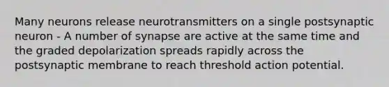 Many neurons release neurotransmitters on a single postsynaptic neuron - A number of synapse are active at the same time and the graded depolarization spreads rapidly across the postsynaptic membrane to reach threshold action potential.