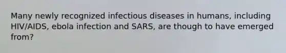 Many newly recognized infectious diseases in humans, including HIV/AIDS, ebola infection and SARS, are though to have emerged from?