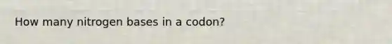 How many nitrogen bases in a codon?