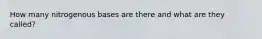 How many nitrogenous bases are there and what are they called?