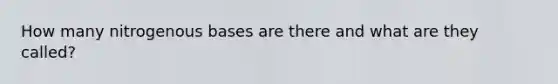 How many nitrogenous bases are there and what are they called?