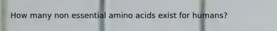 How many non essential amino acids exist for humans?