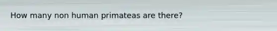 How many non human primateas are there?