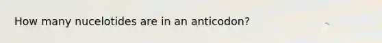 How many nucelotides are in an anticodon?