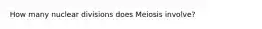 How many nuclear divisions does Meiosis involve?