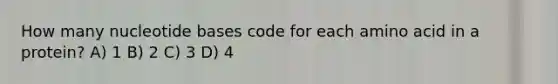 How many nucleotide bases code for each amino acid in a protein? A) 1 B) 2 C) 3 D) 4