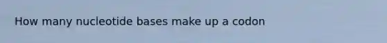 How many nucleotide bases make up a codon