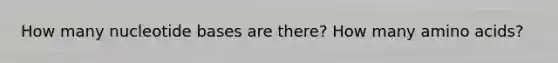 How many nucleotide bases are there? How many amino acids?