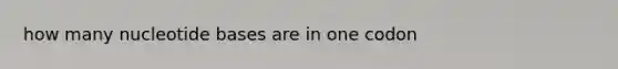 how many nucleotide bases are in one codon